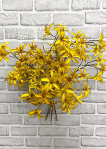 Yellow Forsythia Bundle