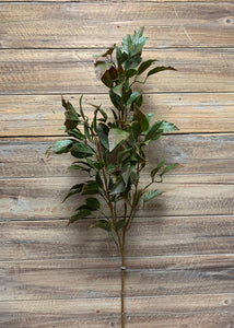 Green Ficus Spray (35")